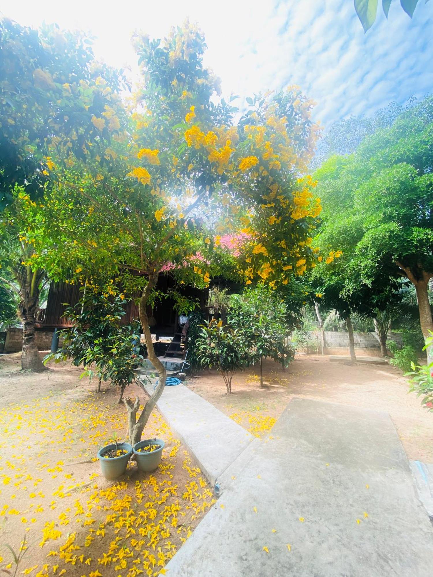 Nadia Resort Kohjum Csum-sziget Kültér fotó