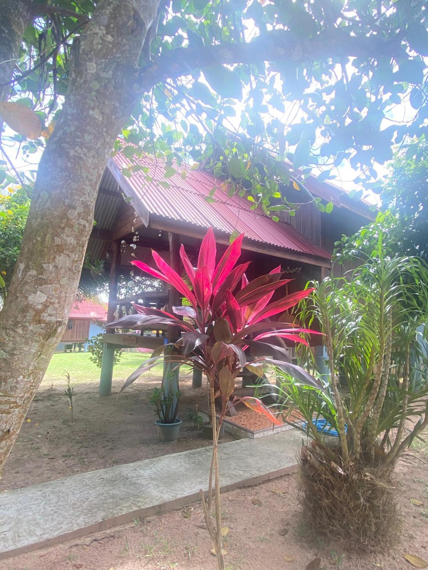 Nadia Resort Kohjum Csum-sziget Kültér fotó